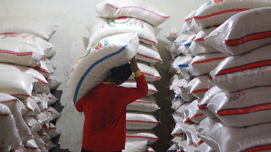 Bapanas memastikan penguatan stok CPP terus berjalan sebagau upaya menjaga produksi pangan dalam negeri. (Bloomberg Technoz/Andrean Kristianto)