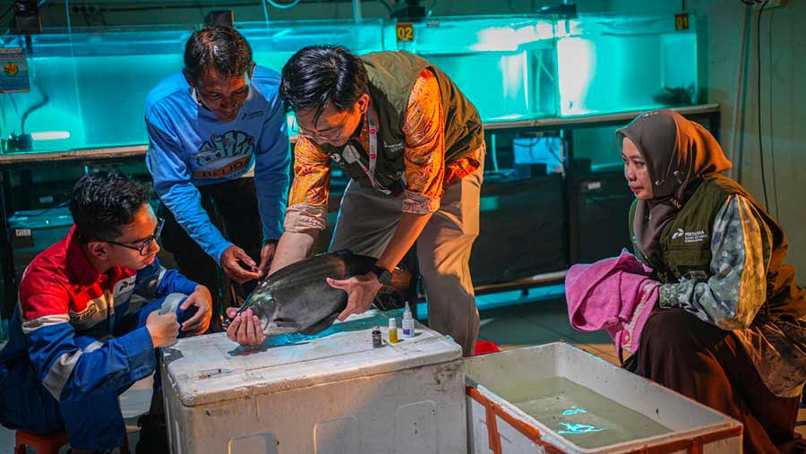 (Dok. Pertamina patra niaga)