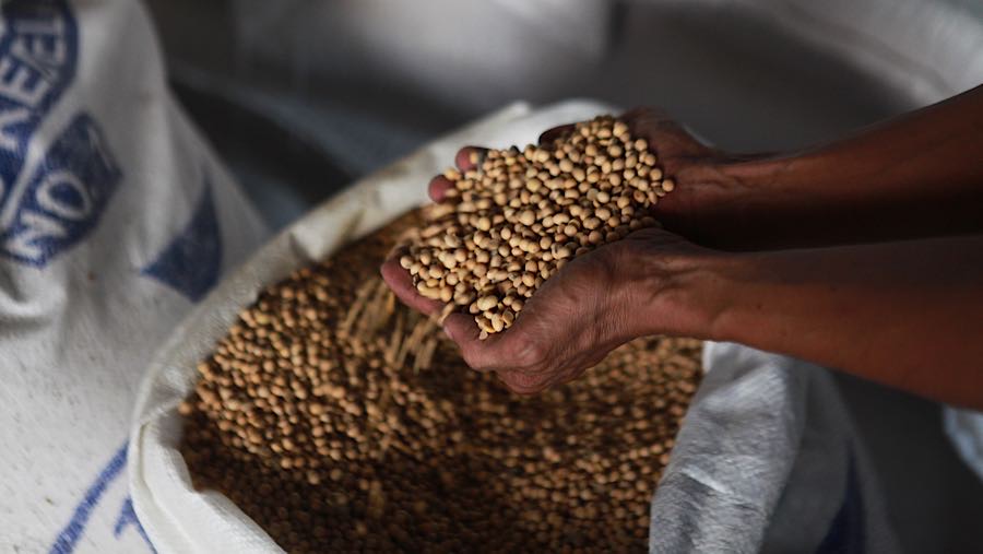 Parjin memilih kedelai di Duren Tiga, Jakarta Selatan, Rabu (8/4/2026). (Bloomberg Technoz/Andrean Kristianto)