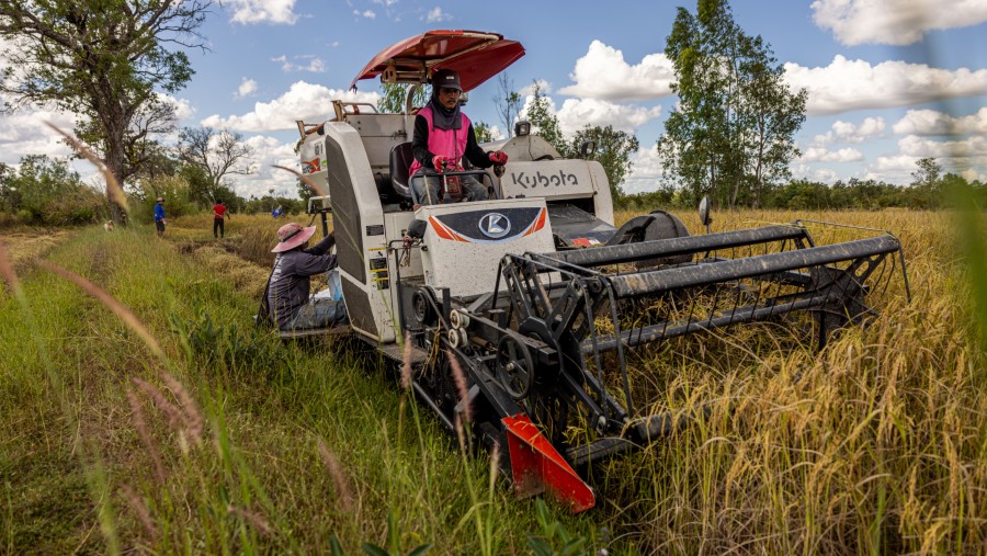 Seorang petani menggunakan mesin pemanen gabungan untuk memanen padi di Ubon Ratchathani, Thailand./Bloomberg