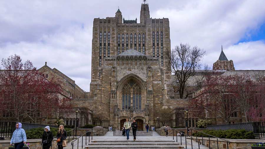 Universitas Yale. (Bloomberg)
