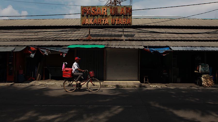 Pasar Ular dahulunya pernah menjadi ikon bagi warga Jakarta dan sekitarnya untuk berburu pakaian, tas, hingga sepatu dengan harga terjangkau.