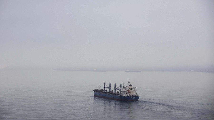 Sebuah kapal pengangkut barang curah melaju di perairan dekat Jembatan Lions Gate di Vancouver, British Columbia, Kanada./Bloomberg-Melissa Renwick
