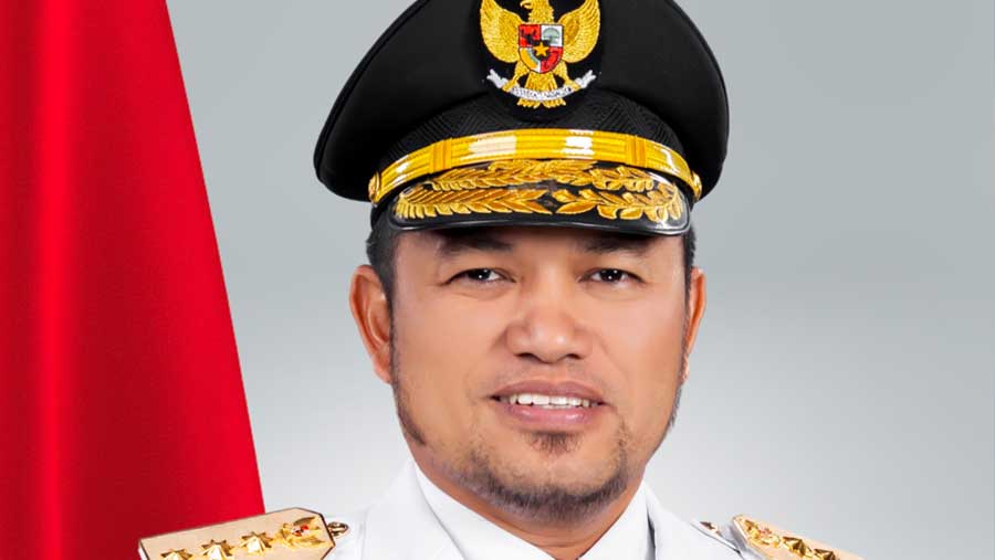 Gubernur Kalimantan Timur Rudy Mas'ud (Dok. Ist)