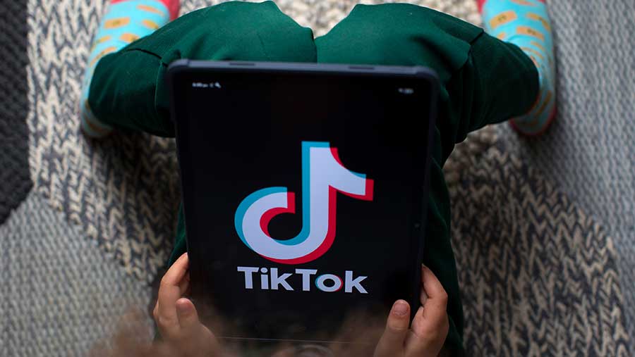 Jepang Mempertimbangkan Batasan Usia Pengguna Media Sosial Seiring Meluasnya Pembatasan Global (Bloomberg)