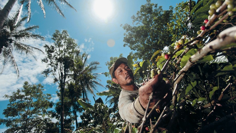 Foto: Dimas Ardian/Bloomberg