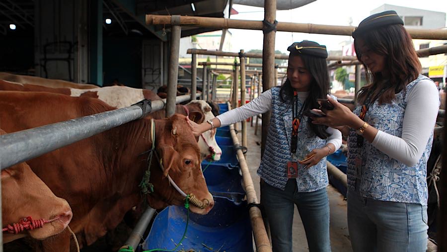 Mereka membantu memberikan penjelasan sekaligus melayani pembeli saat kondisi lokasi penjualan sedang ramai. (Bloomberg Technoz/Andrean Kristianto)