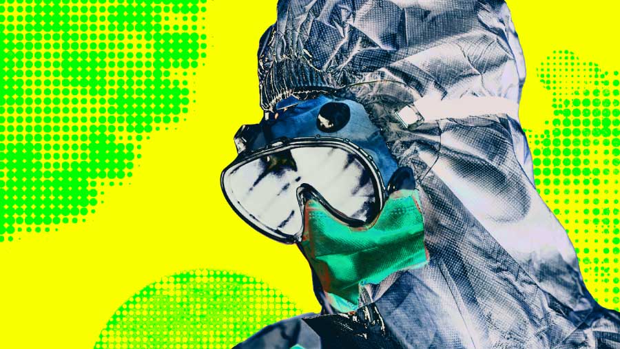 Kemenkes Siapkan RS Rujukan Hantavirus, Ini Daftarnya (Bloomberg Technoz/Asfahan)