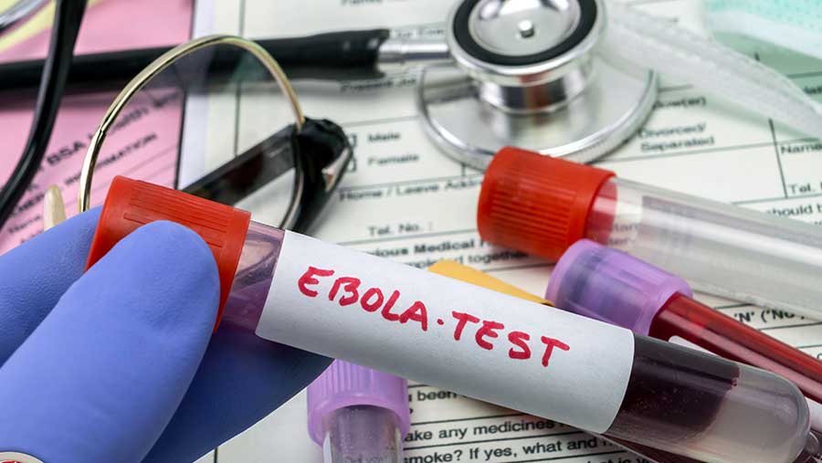 Ilustrasi virus Ebola (Envato)
