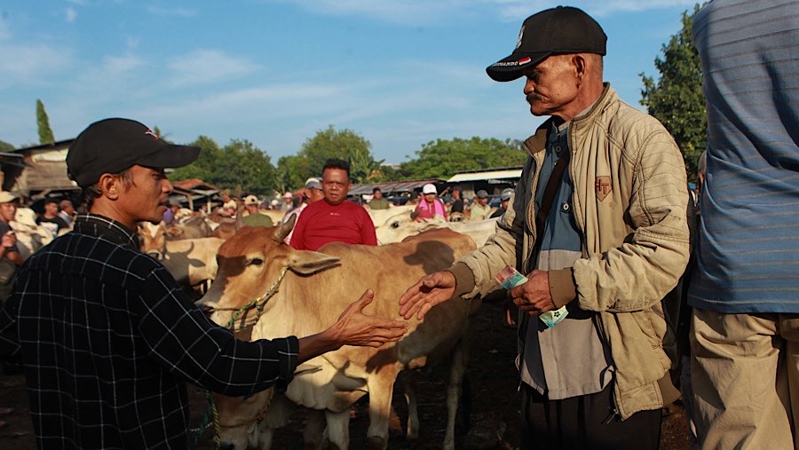 Setelah mencapai kesepakatan harga, mereka akan bersalaman sebagai tanda transaksi yang sah sebelum melakukan pembayaran.