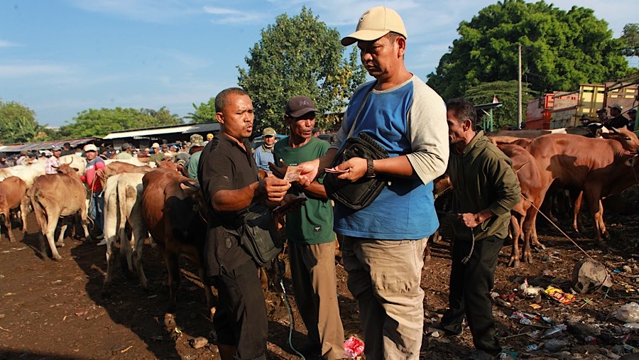 Jadwal transaksi di pasar tersebut dibagi berdasarkan jenis ternak yang diperjualbelikan. (Bloomberg Technoz/Andrean Kristianto)