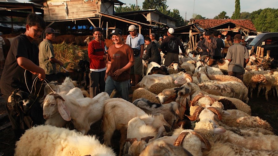 Untuk hari Senin pasar ini hanya dikhususkan untuk penjualan kambing dan domba saja. (Bloomberg Technoz/Andrean Kristianto)