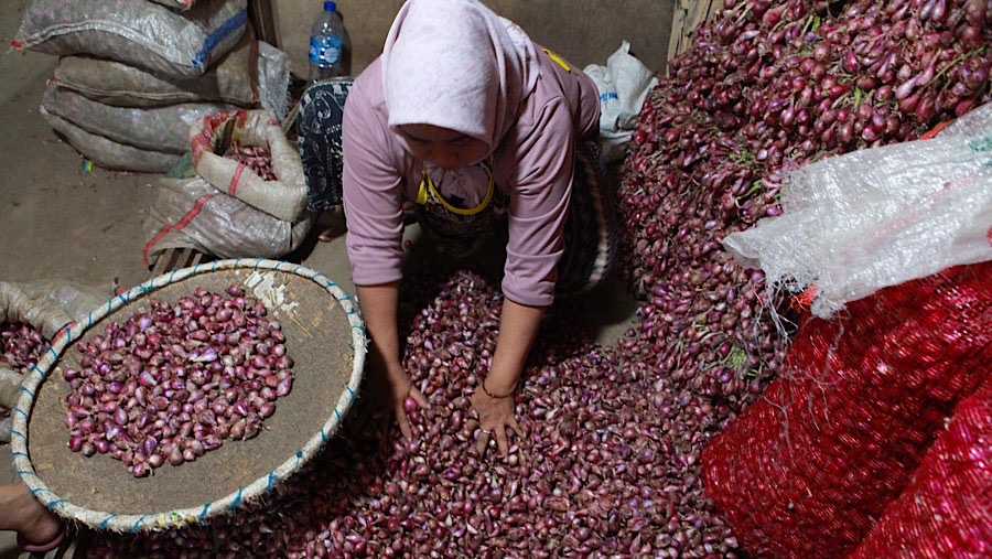 Pekerja merapihkan bawang merah di Pasar Induk Kramat Jati, Jumat (22/6/2026). (Bloomberg Technoz/Andrean Kristianto)