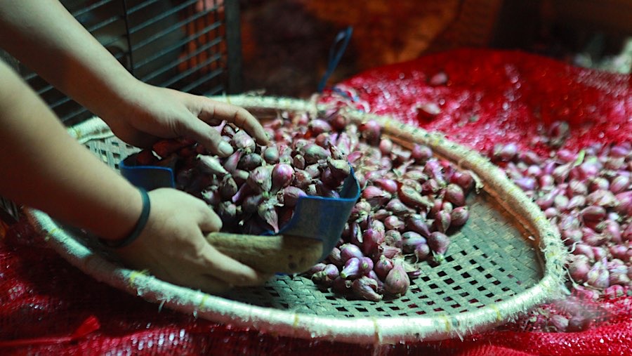 Pekerja memilih bawang merah di Pasar Induk Kramat Jati, Jumat (22/6/2026). (Bloomberg Technoz/Andrean Kristianto)