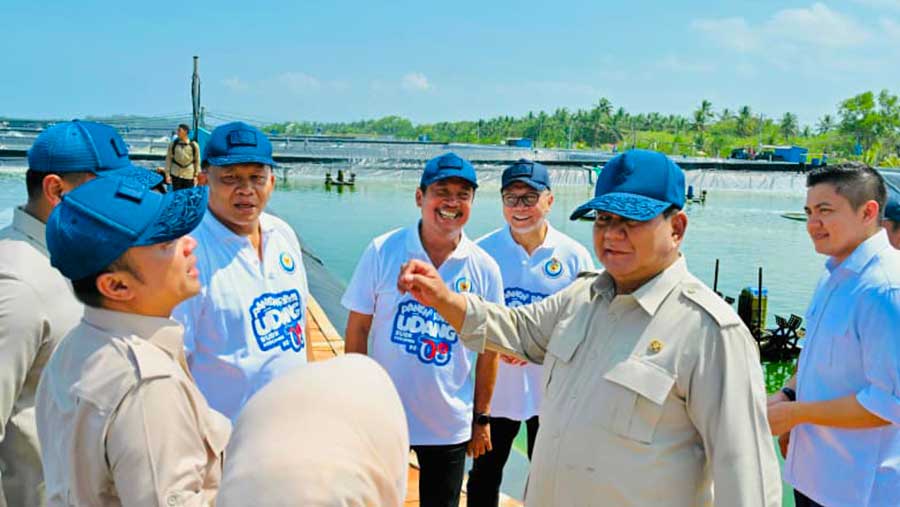 Presiden Prabowo mengunjungi Panen Raya Udang di Tambak Budidaya Udang Berbasis Kawasan, Kebumen, 23 Mei 2026. (Dok. BMPI Setpres)