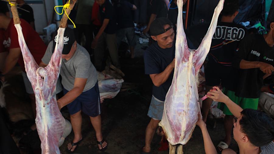 Kurban merupakan amalan yang sangat dianjurkan dalam ajaran Islam, khususnya pada Hari Raya Iduladha. (Bloomberg Technoz/Andrean Kristianto)