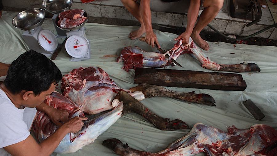 Para petugas memotong-motong daging hewan kurban untuk ditimbang. (Bloomberg Technoz/Andrean Kristianto)