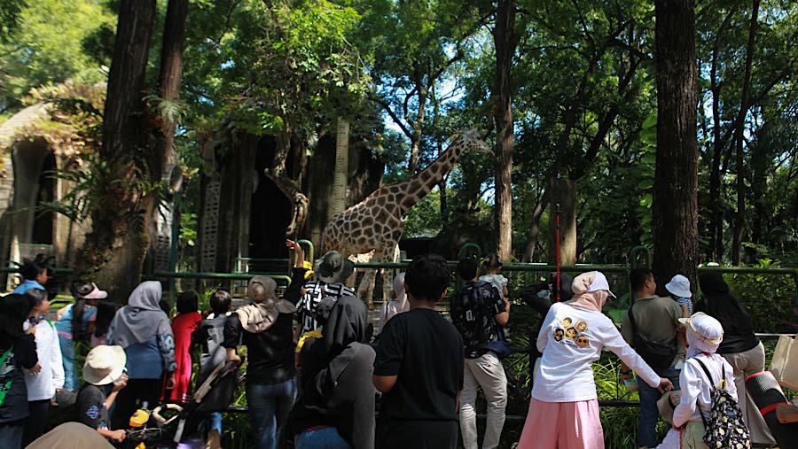 Pengunjung berwisata di Taman Margasatwa Ragunan, Jakarta, Kamis (28/5/2026). (Bloomberg Technoz/Andrean Kristianto)