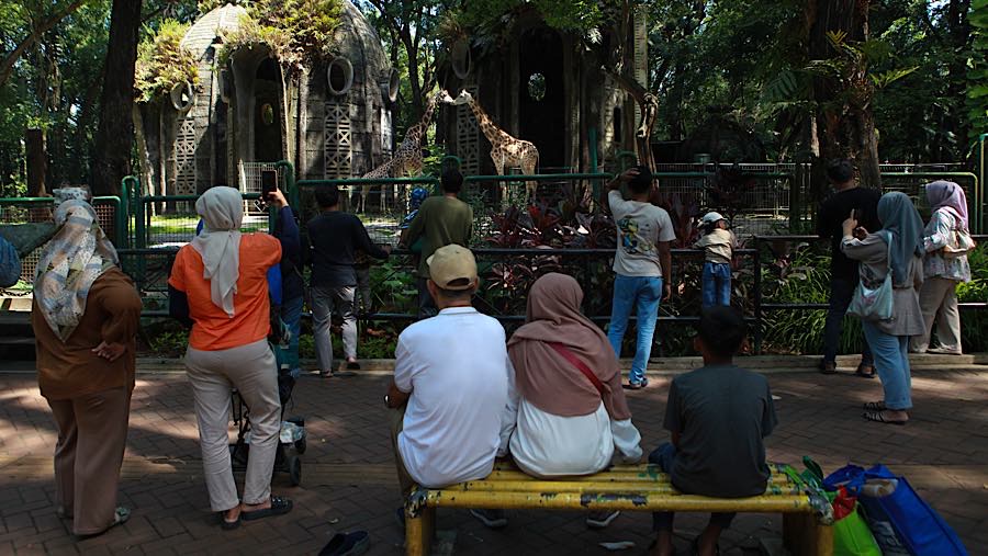 Pengunjung berwisata di Taman Margasatwa Ragunan, Jakarta, Kamis (28/5/2026). (Bloomberg Technoz/Andrean Kristianto)