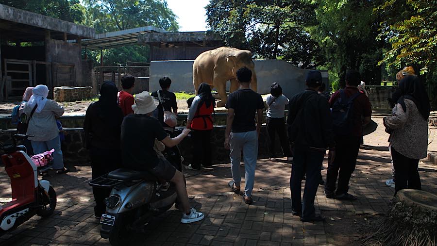 Pengunjung berwisata di Taman Margasatwa Ragunan, Jakarta, Kamis (28/5/2026). (Bloomberg Technoz/Andrean Kristianto)