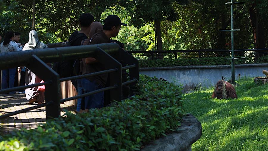 Pengunjung berwisata di Taman Margasatwa Ragunan, Jakarta, Kamis (28/5/2026). (Bloomberg Technoz/Andrean Kristianto)