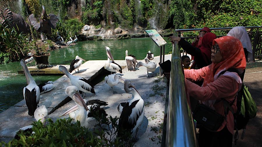 Pengunjung berwisata di Taman Margasatwa Ragunan, Jakarta, Kamis (28/5/2026). (Bloomberg Technoz/Andrean Kristianto)