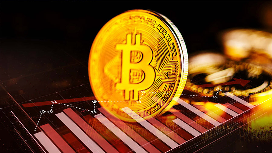 Bitcoin Makin Terpuruk, Mulai Sepi Peminat (Foto: Diolah dari Berbagai Sumber)