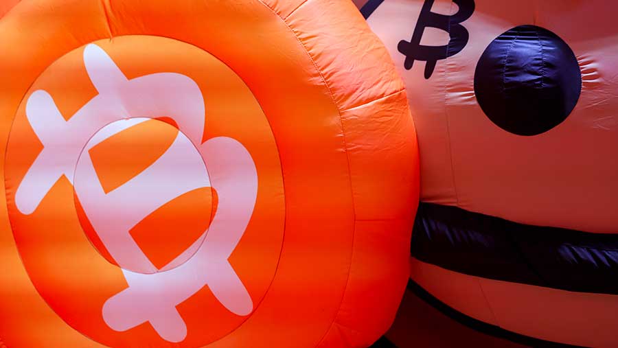 Bitcoin Jatuh ke Level Terendah Pra-Konflik Iran karena Penurunan Kripto Berlanjut (Bloomberg)