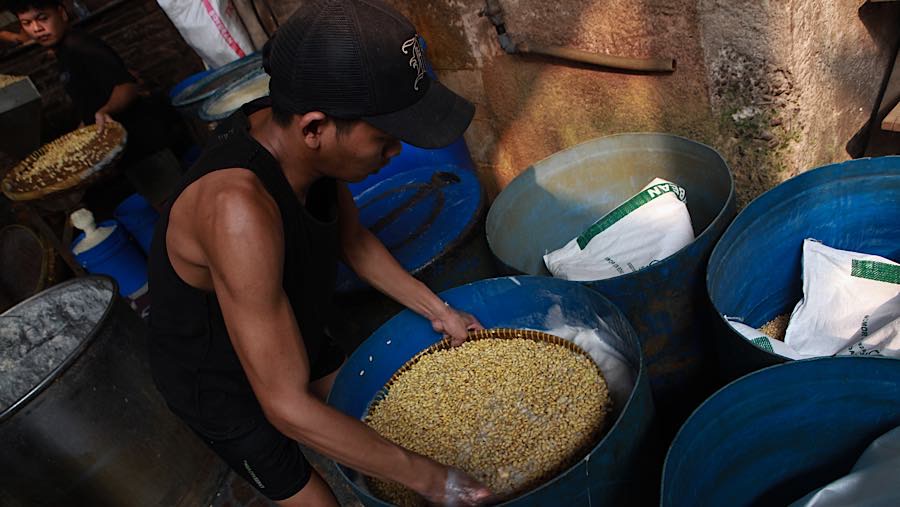 Pemerintah memutuskan memberikan subsidi harga kedelai sebesar Rp2.000 per kilogram untuk 250.000 ton pertama melalui Perum Bulog.