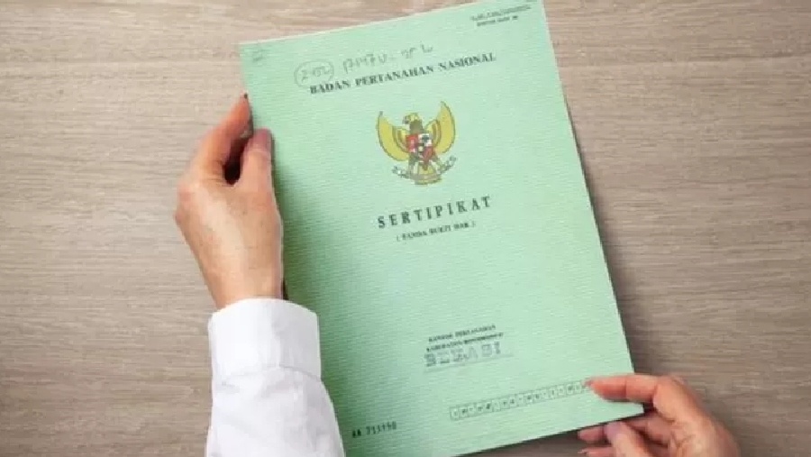 Ilustrasi SHM (Dok. Ist)