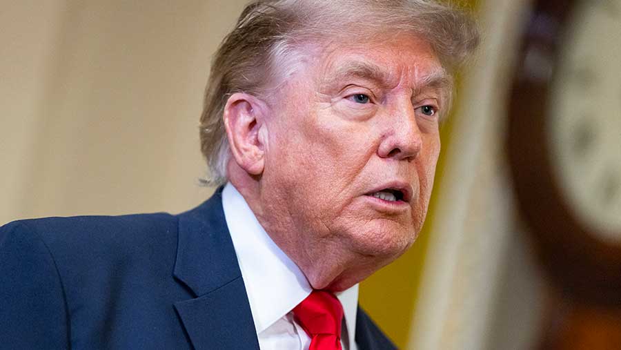 Donald Trump (Valerie Plesch/Bloomberg)