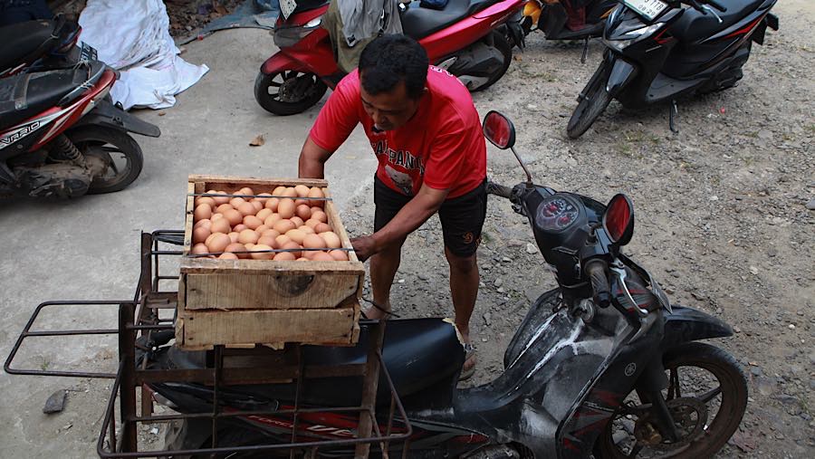 Kenaikan biaya produksi akibat harga pakan yang meningkat karena dipicu pelemahan nilai tukar rupiah terhadap dolar AS juga menambah beban peternak.
