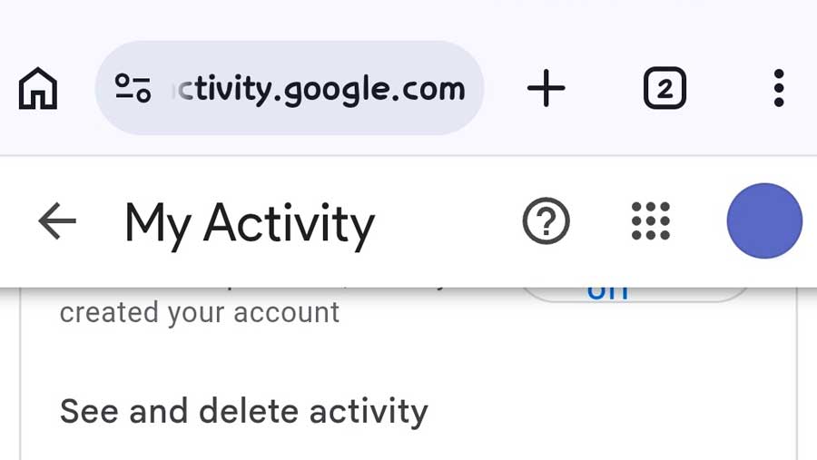 Google Activity. (Dok. Ist)