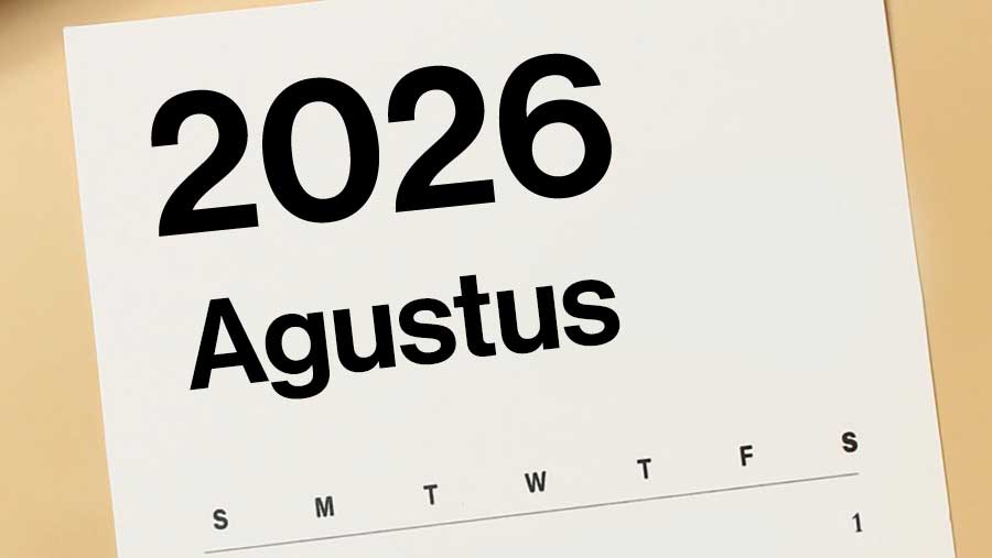 Ilustrasi Kalender Agustus 2026 (Diolah)