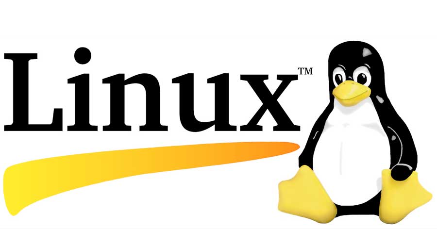 Ilustrasi Linux (Dok. Ist)