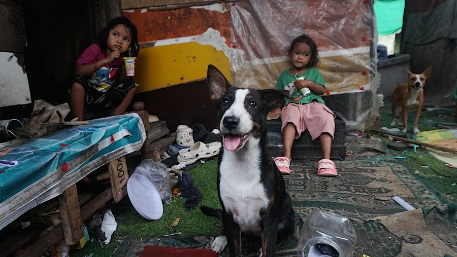 Mereka khawatir berkurangnya area open dumping akan mengikis sumber penghasilan harian. (Bloomberg Technoz/Andrean Kristianto)