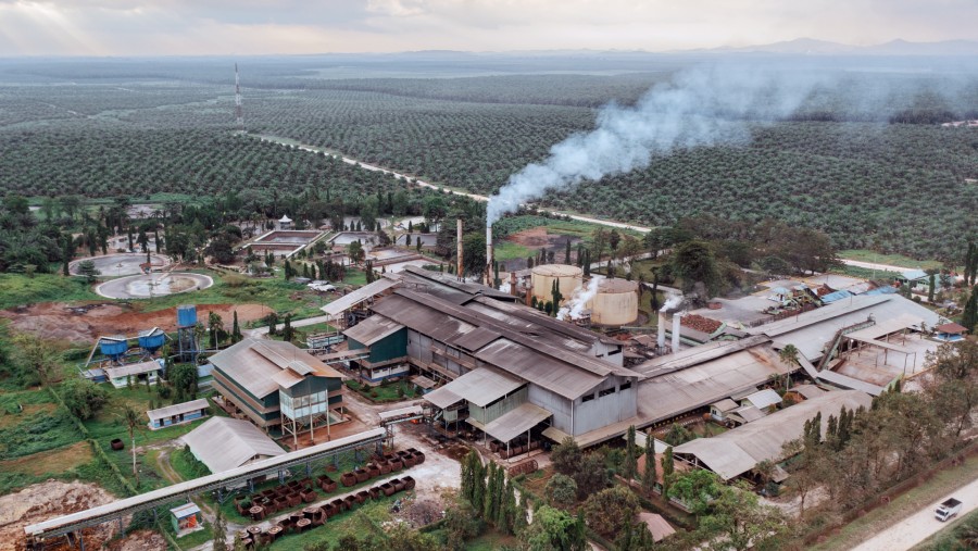 Pabrik Pengolahan Kelapa Sawit di Kalimantan Tengah. Foto: Muhammad Fadli/Bloomberg