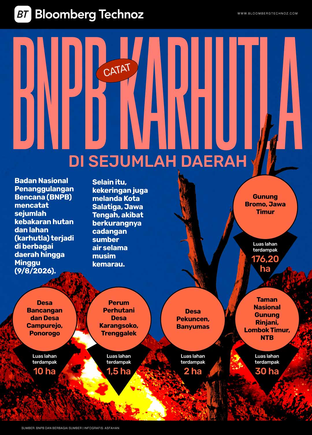 BNPB Catat Karhutla di Sejumlah Daerah, Bromo Masih Ditangani (Bloomberg Technoz)
