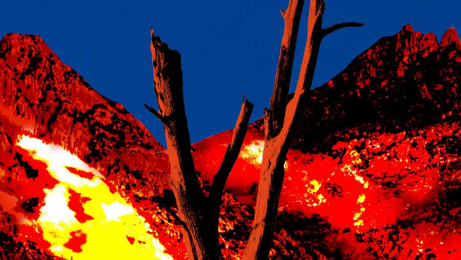 BNPB Catat Karhutla di Sejumlah Daerah, Bromo Masih Ditangani (Bloomberg Technoz)