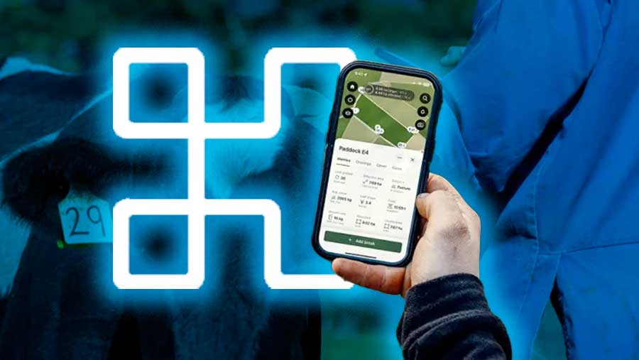 startup Halter buat perangkat AI yang dipasang di sapi  hingga peternak tak perlu lagi bangun pagar. (Diolah)