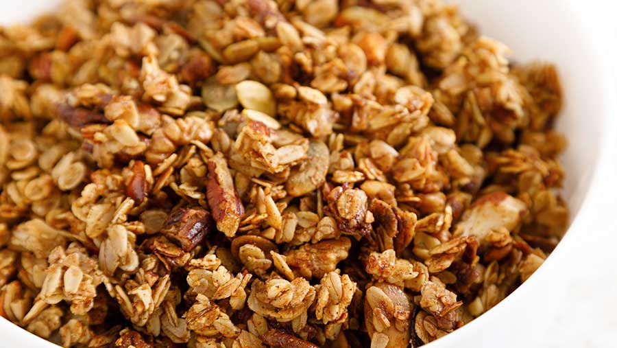Granola (Envato)