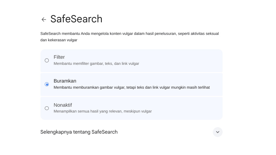 Safe Search di HP dan Laptop (Dok. Ist)