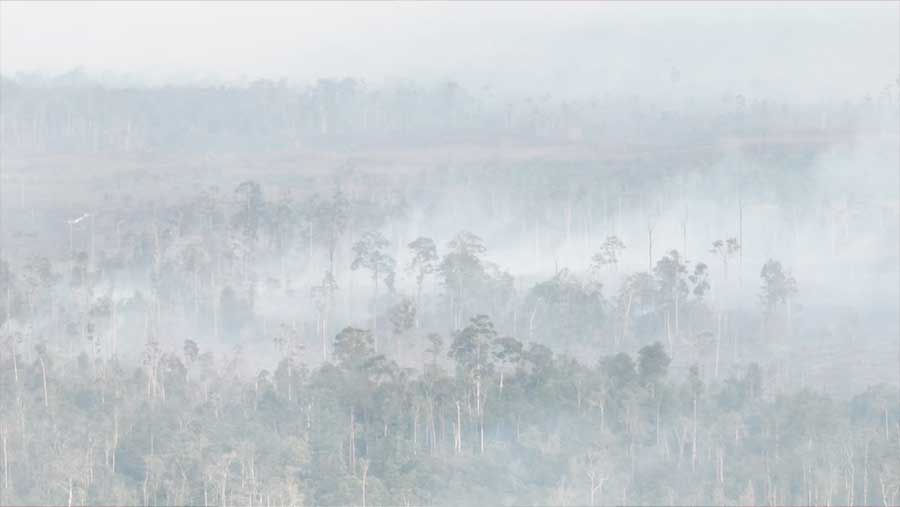 Potret Kebakaran Hutan dan Lahan di Kalimantan. (Dok. BNPB)