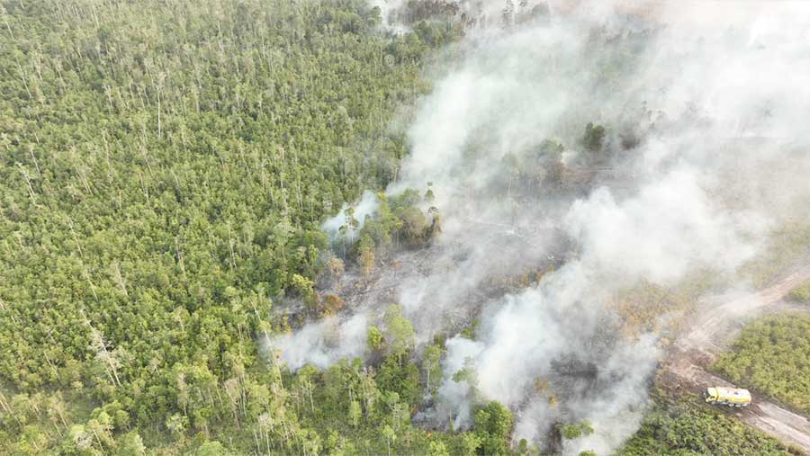 Potret Kebakaran Hutan dan Lahan di Kalimantan. (Dok. BNPB)