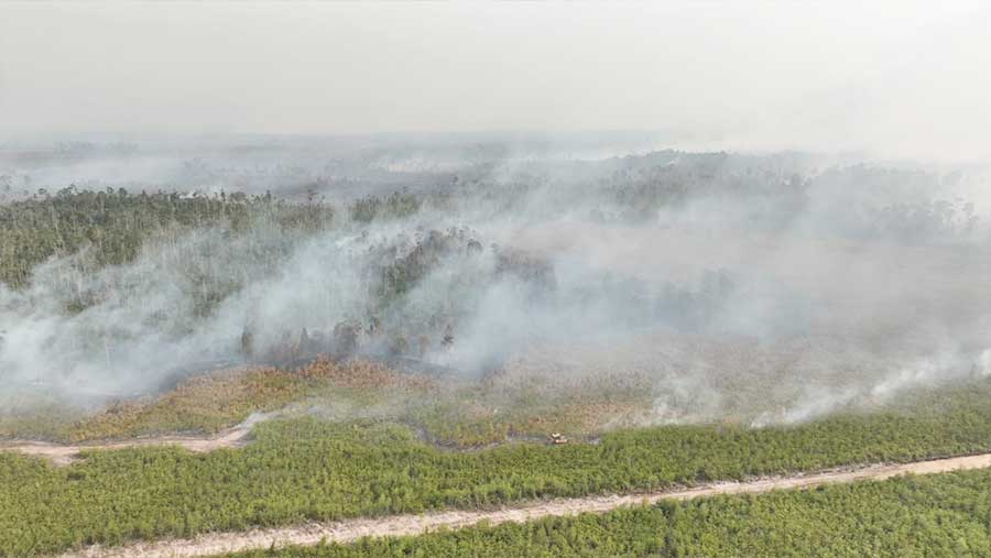 Potret Kebakaran Hutan dan Lahan di Kalimantan. (Dok. BNPB)