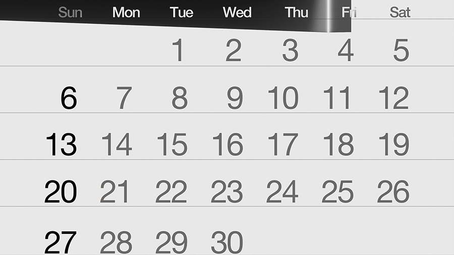 Ilustrasi Kalender September 2026 (Unsplash)