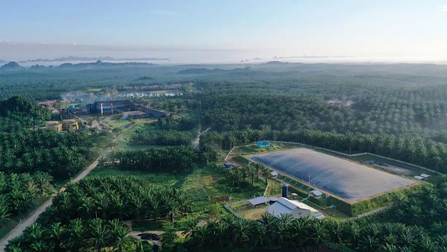 PT Eagle High Plantations Tbk (Dok. Ist)