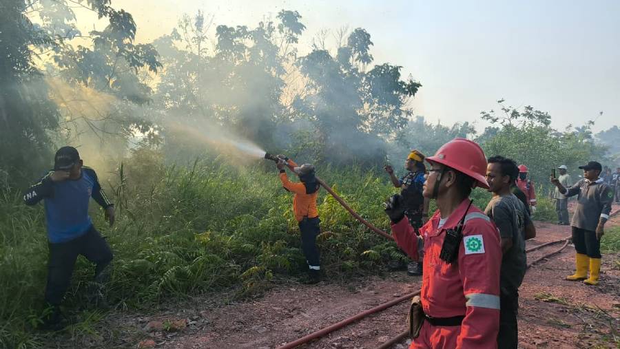 PHI memadamkan kebakaran hutan dan lahan (karhutla) di sekitar wilayah operasional di Kalimantan. (Dok. PHI)