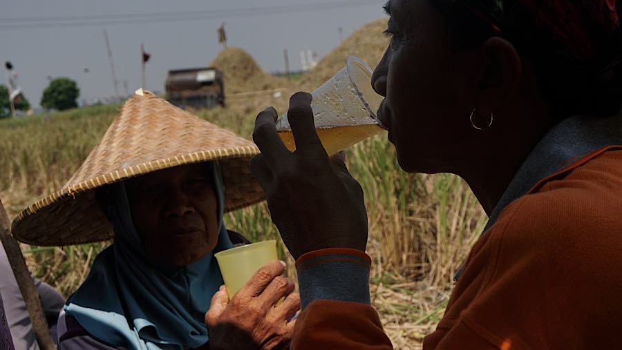 Petani beristirahat usai memanen padi di persawahan kawasan Rorotan, Jakarta Utara, Kamis (3/9/2026). (Bloomberg Technoz/Andrean Kristianto)