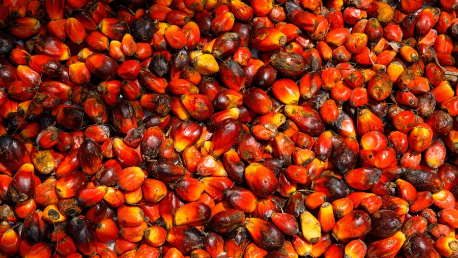 Tumpukan buah kelapa sawit yang baru dipanen. (Fotografer: Samsul Said/Bloomberg)
